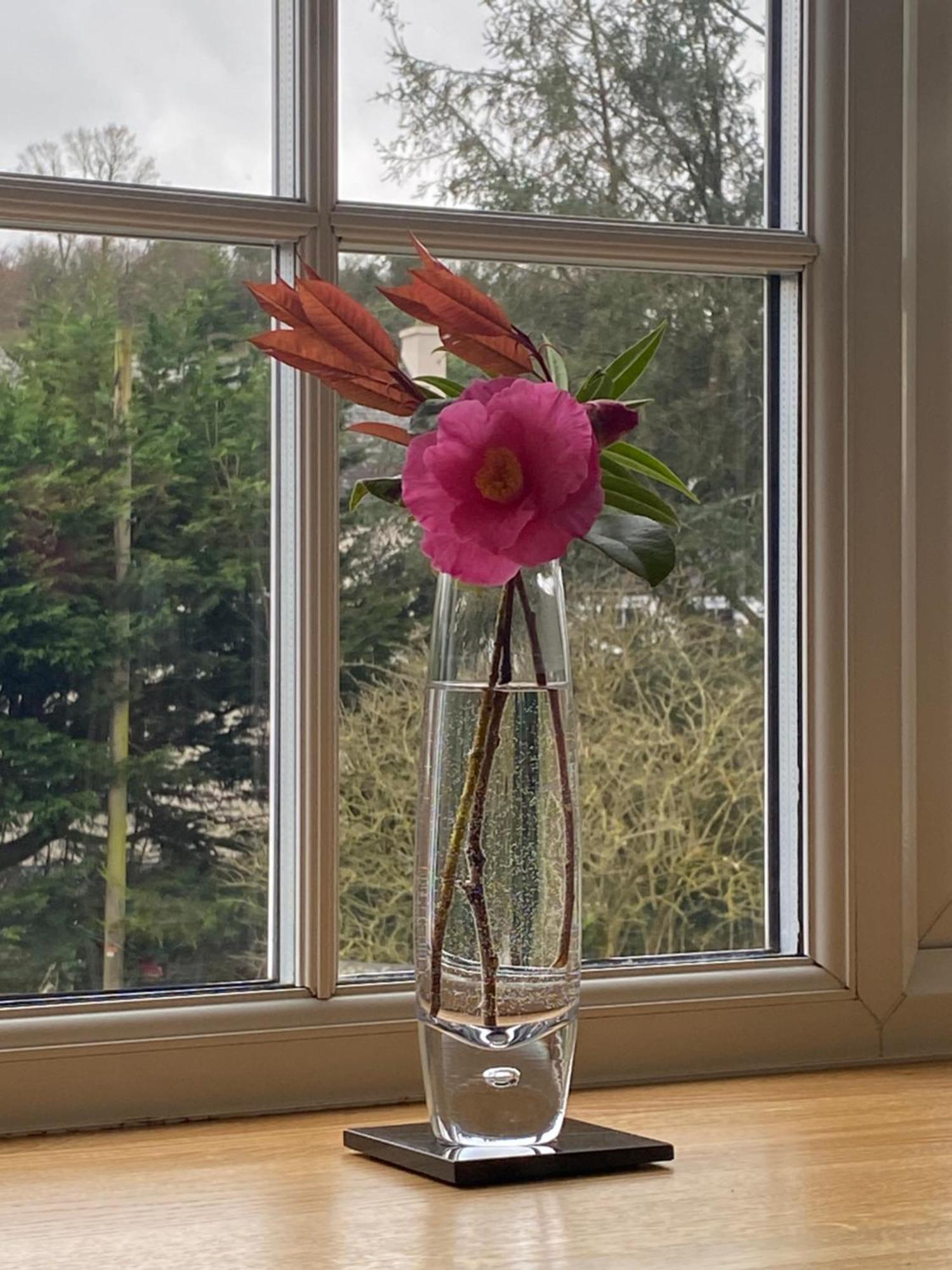 Lynwood House Bed And Breakfast Tregoney Екстер'єр фото